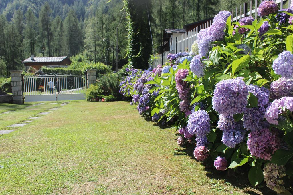 Villa Egle Antronapiana Exteriör bild